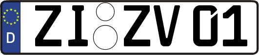 ZI-ZV01