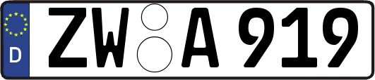 ZW-A919