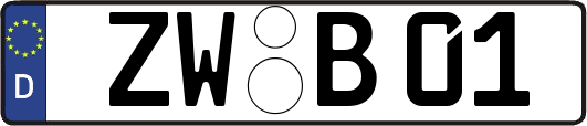 ZW-B01