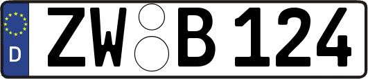 ZW-B124