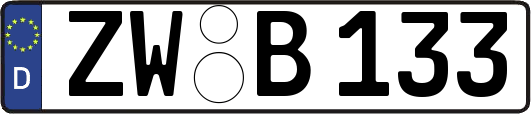 ZW-B133