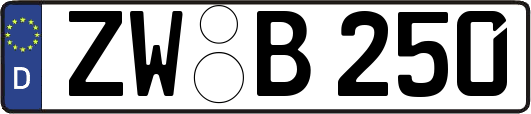 ZW-B250