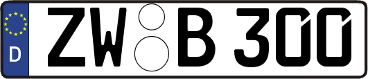 ZW-B300