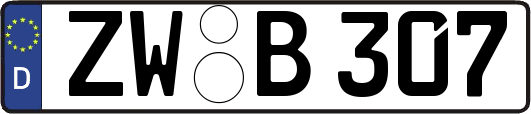 ZW-B307