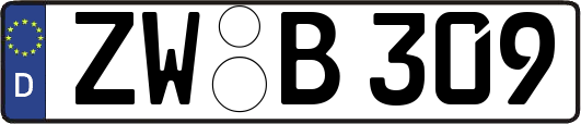 ZW-B309