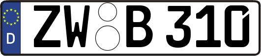 ZW-B310