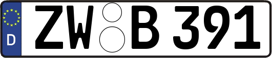 ZW-B391