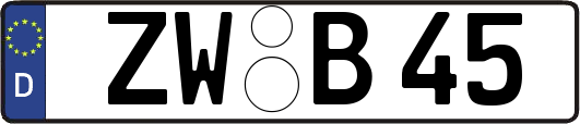 ZW-B45