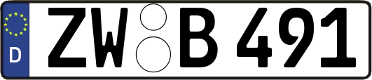 ZW-B491