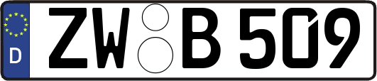 ZW-B509