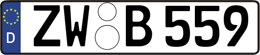 ZW-B559