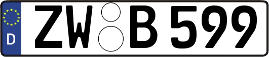 ZW-B599