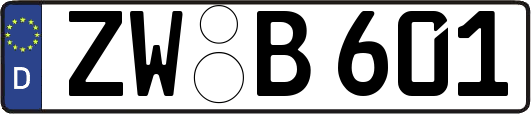 ZW-B601