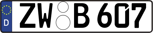 ZW-B607