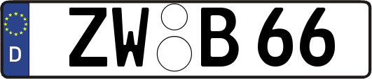ZW-B66