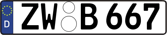 ZW-B667
