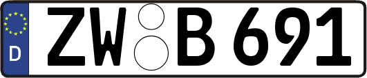 ZW-B691