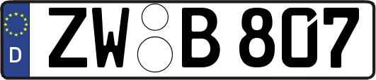 ZW-B807