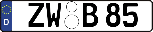 ZW-B85