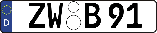 ZW-B91