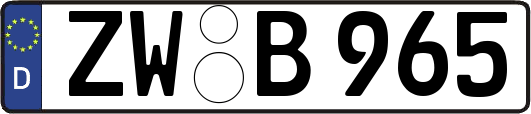 ZW-B965