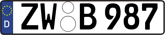 ZW-B987