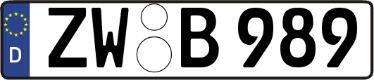 ZW-B989