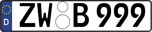 ZW-B999