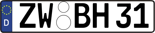 ZW-BH31