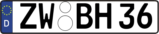 ZW-BH36