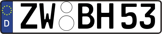ZW-BH53