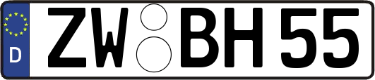 ZW-BH55
