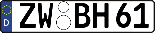 ZW-BH61