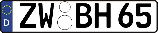 ZW-BH65