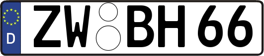 ZW-BH66
