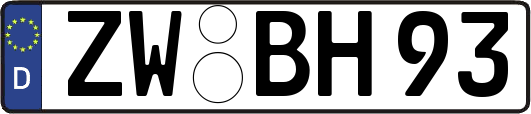 ZW-BH93
