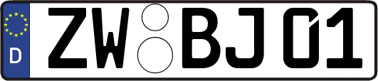ZW-BJ01