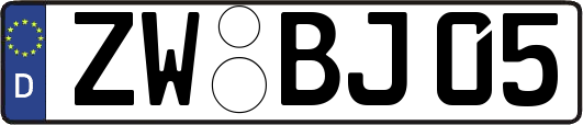 ZW-BJ05