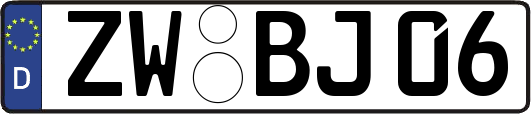 ZW-BJ06