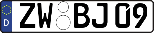 ZW-BJ09