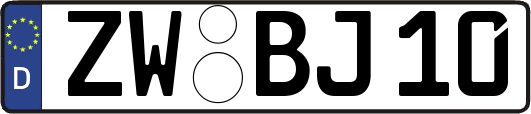 ZW-BJ10