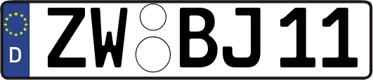 ZW-BJ11