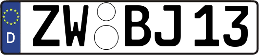 ZW-BJ13