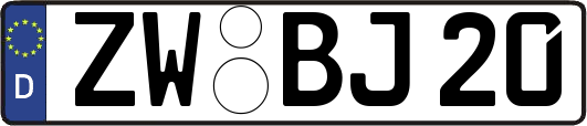 ZW-BJ20