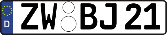 ZW-BJ21