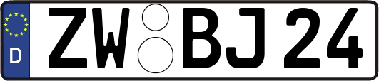 ZW-BJ24