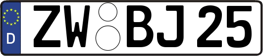 ZW-BJ25