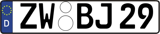 ZW-BJ29