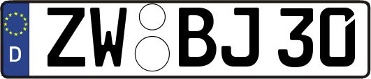 ZW-BJ30