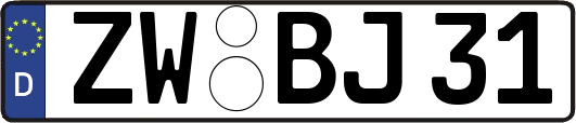 ZW-BJ31
